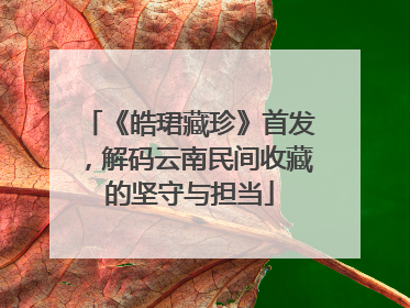 《皓珺藏珍》首发，解码云南民间收藏的坚守与担当