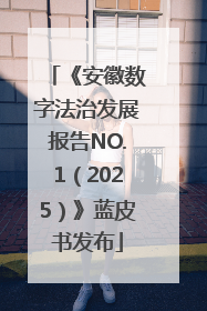 《安徽数字法治发展报告NO.1（2025）》蓝皮书发布