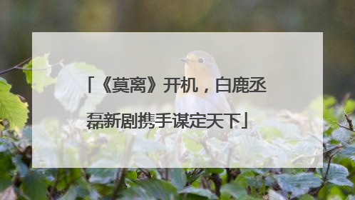 《莫离》开机，白鹿丞磊新剧携手谋定天下