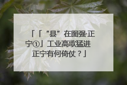 「“县”在图强·正宁①」工业高歌猛进 正宁有何倚仗？