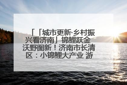「城市更新·乡村振兴看济南」锦鲤跃金 沃野图新！济南市长清区：小锦鲤大产业 游出农旅新风景