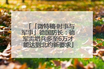 「微特稿·时事与军事」德国防长：德军需增兵多至6万才能达到北约新要求