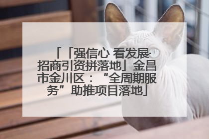 「强信心 看发展·招商引资拼落地」金昌市金川区：“全周期服务”助推项目落地