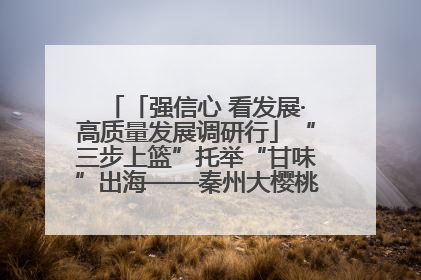 「强信心 看发展·高质量发展调研行」“三步上篮”托举“甘味”出海——秦州大樱桃高质量发展动作分解