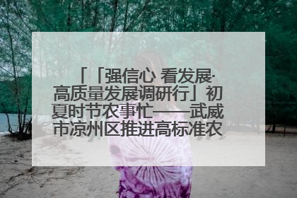 「强信心 看发展·高质量发展调研行」初夏时节农事忙——武威市凉州区推进高标准农田建设见闻