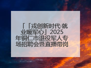 「戎创新时代·就业暖军心」2025年铜仁市退役军人专场招聘会暨直播带岗活动顺利举行