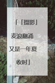 「摄影」麦浪翻涌 又是一年夏收时