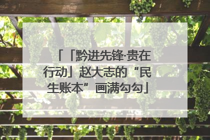 「黔进先锋·贵在行动」赵大志的“民生账本”画满勾勾