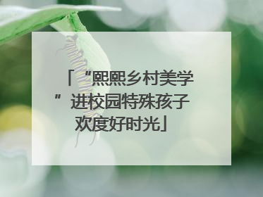 “熙熙乡村美学”进校园特殊孩子欢度好时光