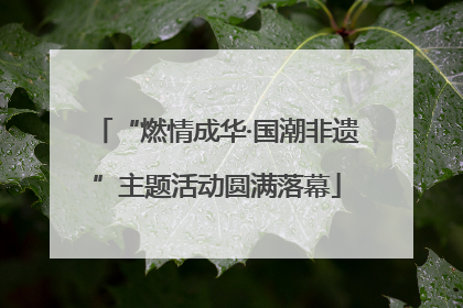 “燃情成华·国潮非遗”主题活动圆满落幕