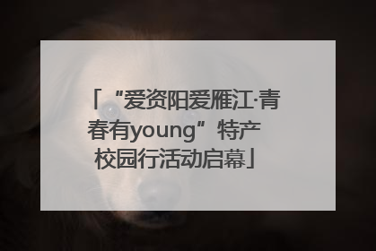 “爱资阳爱雁江·青春有young”特产校园行活动启幕