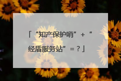 “知产保护哨”+“经盾服务站”=？