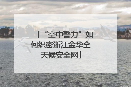 “空中警力”如何织密浙江金华全天候安全网