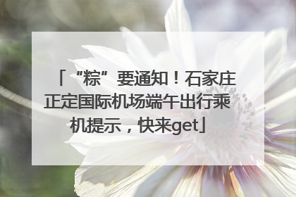 “粽”要通知！石家庄正定国际机场端午出行乘机提示，快来get