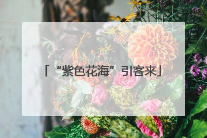 “紫色花海”引客来