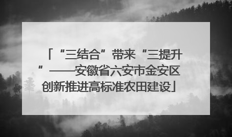 “三结合”带来“三提升”——安徽省六安市金安区创新推进高标准农田建设