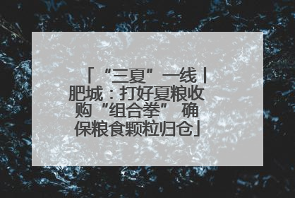 “三夏”一线丨肥城：打好夏粮收购“组合拳” 确保粮食颗粒归仓