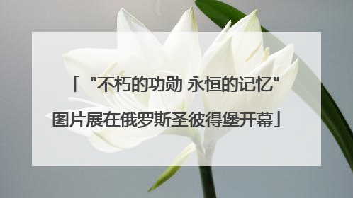 “不朽的功勋 永恒的记忆”图片展在俄罗斯圣彼得堡开幕