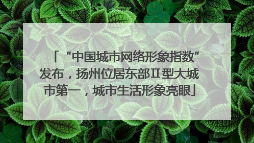 “中国城市网络形象指数”发布，扬州位居东部Ⅱ型大城市第一，城市生活形象亮眼