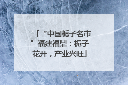 “中国栀子名市”福建福鼎：栀子花开，产业兴旺
