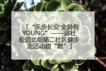 “乐步长安 全龄有YOUNG”——郭杜街道北街第二社区健步走活动超“燃”