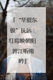 “华夏东极”抚远：红莓映朝阳 界江听熊吟