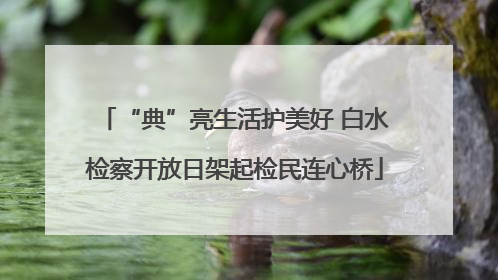 “典”亮生活护美好 白水检察开放日架起检民连心桥