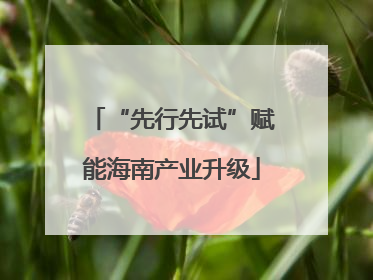 “先行先试”赋能海南产业升级