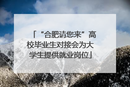 “合肥请您来”高校毕业生对接会为大学生提供就业岗位