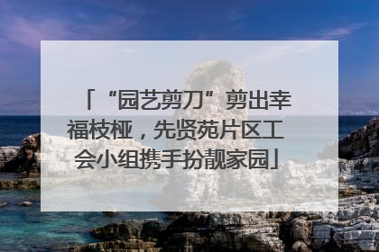 “园艺剪刀”剪出幸福枝桠，先贤苑片区工会小组携手扮靓家园