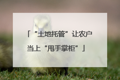 “土地托管”让农户当上“甩手掌柜”
