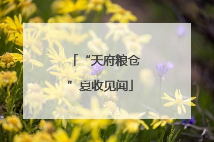 “天府粮仓”夏收见闻