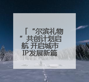 “尔滨礼物”共创计划启航 开启城市IP发展新篇章