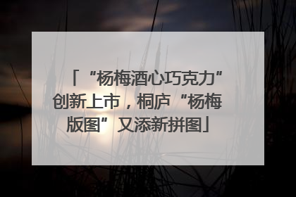 “杨梅酒心巧克力”创新上市，桐庐“杨梅版图”又添新拼图