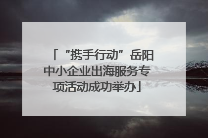 “携手行动”岳阳中小企业出海服务专项活动成功举办