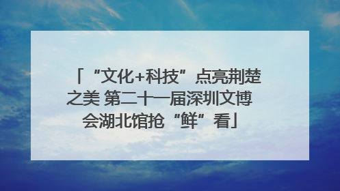 “文化+科技”点亮荆楚之美 第二十一届深圳文博会湖北馆抢“鲜”看