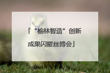 “榆林智造”创新成果闪耀丝博会