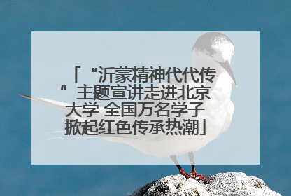 “沂蒙精神代代传”主题宣讲走进北京大学 全国万名学子掀起红色传承热潮