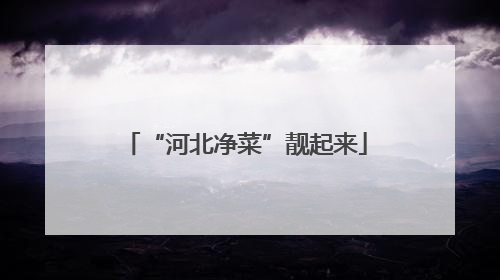 “河北净菜”靓起来