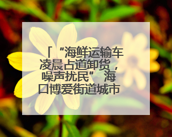 “海鲜运输车凌晨占道卸货，噪声扰民” 海口博爱街道城市综合行政执法中队：将联合交警加强长堤路一带巡逻