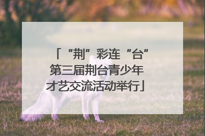 “荆”彩连“台” 第三届荆台青少年才艺交流活动举行