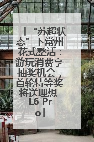 “苏超状态”下常州花式整活：游玩消费享抽奖机会，首轮特等奖将送理想 L6 Pro