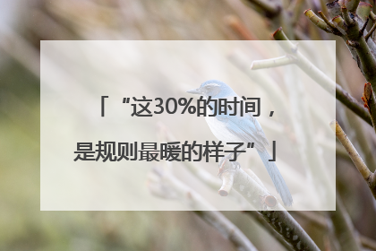 “这30%的时间，是规则最暖的样子”