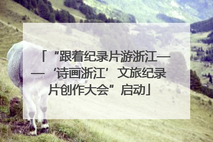“跟着纪录片游浙江——‘诗画浙江’文旅纪录片创作大会”启动