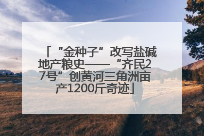“金种子”改写盐碱地产粮史——“齐民27号”创黄河三角洲亩产1200斤奇迹