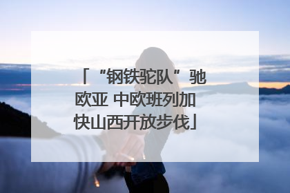 “钢铁驼队”驰欧亚 中欧班列加快山西开放步伐