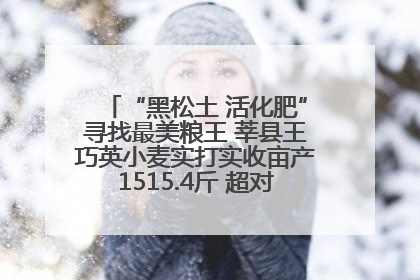 “黑松土 活化肥”寻找最美粮王 莘县王巧英小麦实打实收亩产1515.4斤 超对照田144斤！