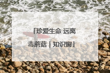 珍爱生命 远离毒蘑菇｜知识窗