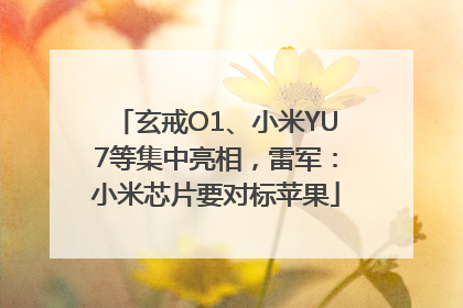 玄戒O1、小米YU7等集中亮相，雷军：小米芯片要对标苹果