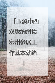 玉溪市西双版纳州德宏州参展工作基本就绪